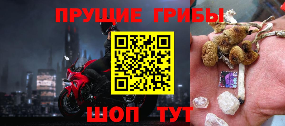 Галлюциногенные грибы MAGIC MUSHROOMS Малгобек