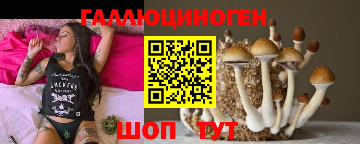 Малгобек  Галлюциногенные грибы MAGIC MUSHROOMS  Галлюциногенные грибы мухоморы  Вход с VPN 